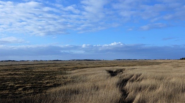 Téléchargement gratuit de Spo North Sea Rest - photo ou image gratuite à éditer avec l'éditeur d'images en ligne GIMP