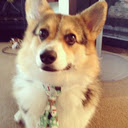 Sponsored Corgis  screen for extension Chrome web store in OffiDocs Chromium