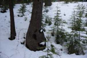 Free download Spooner Backcountry, by Andrew Toskin free photo or picture to be edited with GIMP online image editor