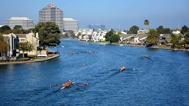 Descarga gratuita Sports Foster City Rowing: foto o imagen gratuitas para editar con el editor de imágenes en línea GIMP