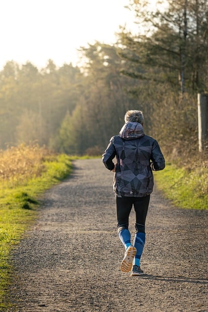Free download sports jog running forest nature free picture to be edited with GIMP free online image editor