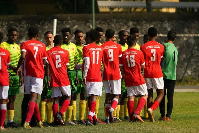 Free download sport team foot football soccer free picture to be edited with GIMP free online image editor