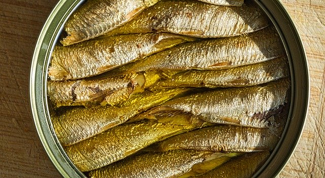 Free download Sprats Fish Preserve Food -  free photo or picture to be edited with GIMP online image editor