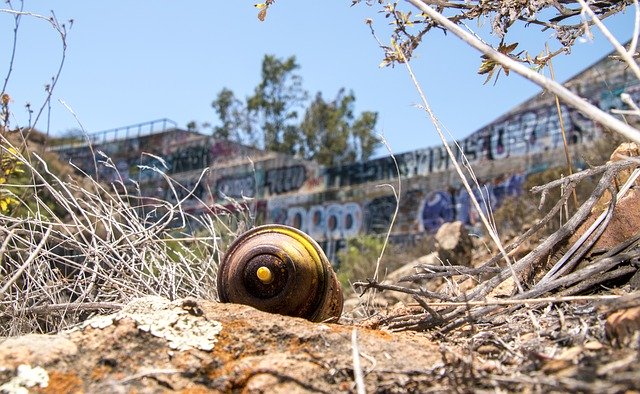 ດາວໂຫລດຟຣີ Spray Paint Can - ຮູບພາບຫຼືຮູບພາບທີ່ບໍ່ເສຍຄ່າເພື່ອແກ້ໄຂດ້ວຍຕົວແກ້ໄຂຮູບພາບອອນໄລນ໌ GIMP