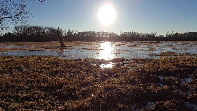 Kostenloser Download Spreewald Wasser Winter - kostenloses Foto oder Bild zur Bearbeitung mit GIMP Online-Bildbearbeitung