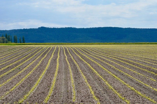Free download Spring Agriculture Field -  free photo or picture to be edited with GIMP online image editor