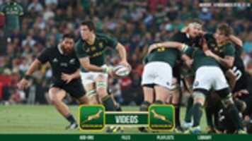 Free download springboks free photo or picture to be edited with GIMP online image editor