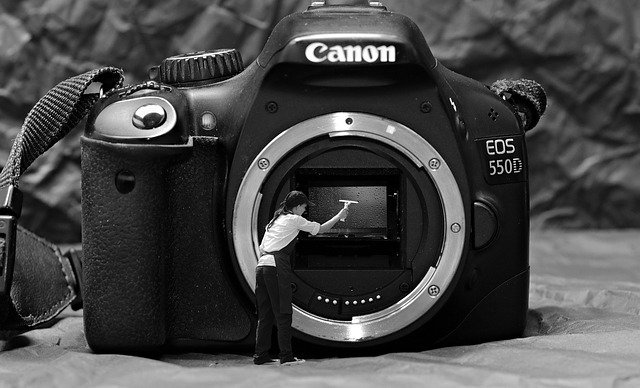 Free download spring cleaning sensor cleaning free picture to be edited with GIMP free online image editor