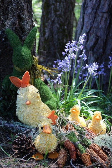Descărcare gratuită Spring Easter Nature - fotografie sau imagini gratuite pentru a fi editate cu editorul de imagini online GIMP