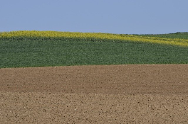 Unduh gratis Spring Fields Agriculture - foto atau gambar gratis untuk diedit dengan editor gambar online GIMP