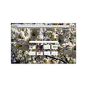 Spring flowering trees.  screen for extension Chrome web store in OffiDocs Chromium