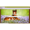 Spring Foal  screen for extension Chrome web store in OffiDocs Chromium