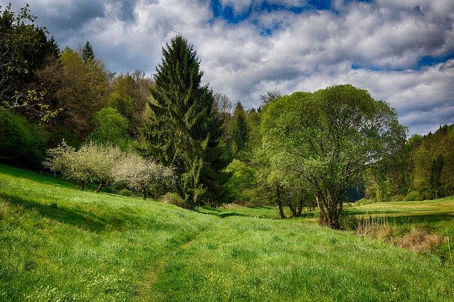 Free graphic spring green hdr nature summer to be edited by GIMP free image editor by OffiDocs