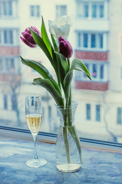 Free download spring holiday march 8 tulips free picture to be edited with GIMP free online image editor