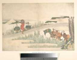 Free download Spring in the Rice Fields free photo or picture to be edited with GIMP online image editor