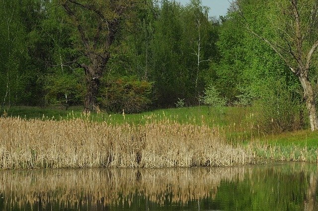 دانلود رایگان Spring Landscape Nature - عکس یا عکس رایگان رایگان برای ویرایش با ویرایشگر تصویر آنلاین GIMP