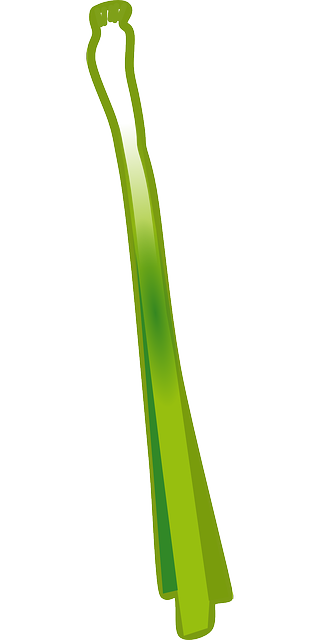 Бесплатная загрузка Зеленый лук Зеленый салат - Бесплатная векторная графика на Pixabay, бесплатная иллюстрация для редактирования в GIMP, бесплатный онлайн-редактор изображений