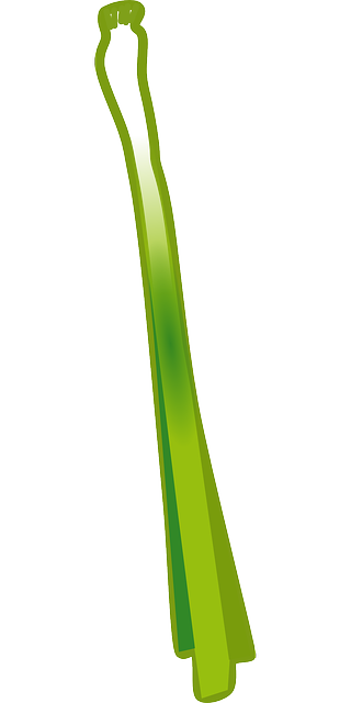 Free download Spring Onion Scallion Salad - Free vector graphic on Pixabay free illustration to be edited with GIMP free online image editor