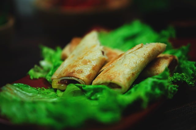 Free download spring roll spring rolls risol food free picture to be edited with GIMP free online image editor