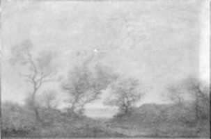 Free download Springtime free photo or picture to be edited with GIMP online image editor