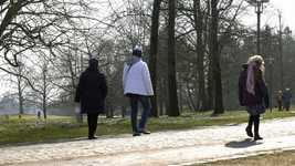 Free download Spring Walk Park -  free video to be edited with OpenShot online video editor