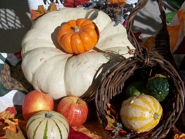 Free download Squash Cornucopia Fall -  free photo or picture to be edited with GIMP online image editor