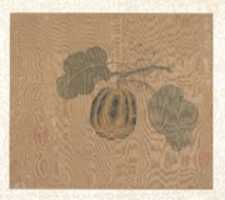 Free download Squash free photo or picture to be edited with GIMP online image editor