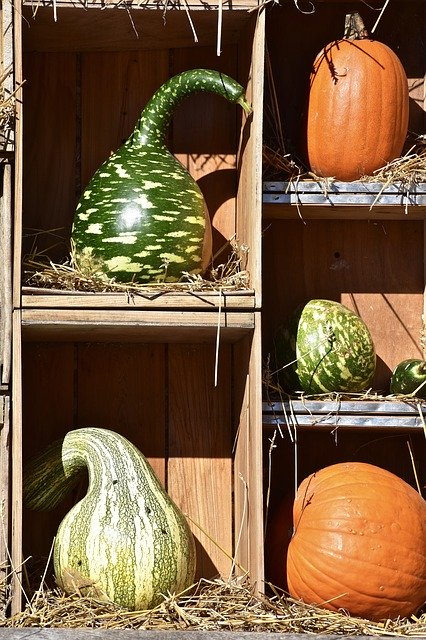 免费下载 Squash Pumpkin Hay - 可使用 GIMP 在线图像编辑器编辑的免费照片或图片