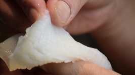 Free download Squid Cooking Cutting -  free video to be edited with OpenShot online video editor