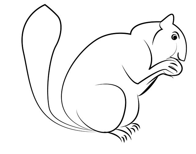 Free download Squirrel Animal Sketch -  free illustration to be edited with GIMP free online image editor