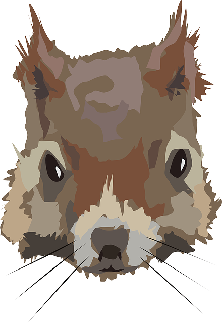 Free download Squirrel Head Face - Free vector graphic on Pixabay free illustration to be edited with GIMP free online image editor