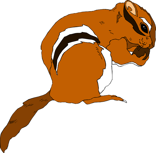 Free download Squirrel Stripes Food - Free vector graphic on Pixabay free illustration to be edited with GIMP free online image editor