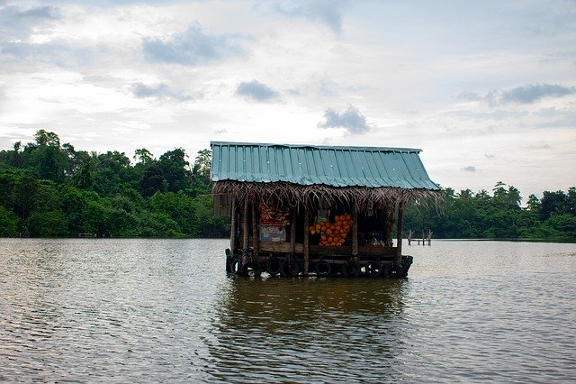 Baixe gratuitamente Sri Lanka Exotic Nature - foto ou imagem gratuita para ser editada com o editor de imagens online GIMP