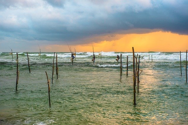 ดาวน์โหลดฟรี Sri Lanka Travel Country - รูปถ่ายหรือรูปภาพฟรีที่จะแก้ไขด้วยโปรแกรมแก้ไขรูปภาพออนไลน์ GIMP