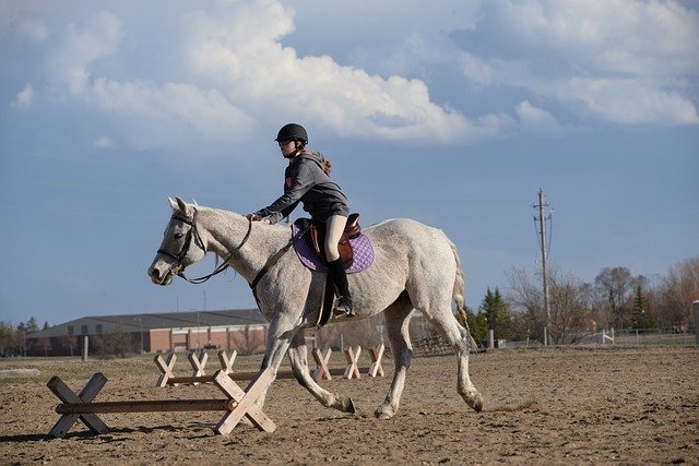 Téléchargement gratuit de Stables Horse Farm - photo ou image gratuite à éditer avec l'éditeur d'images en ligne GIMP