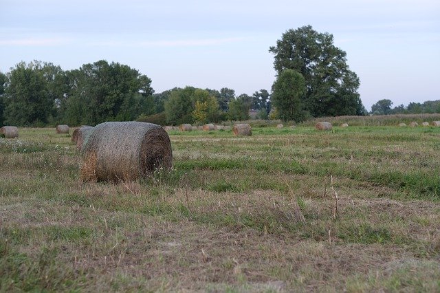 Free download Stack Hay Background -  free photo or picture to be edited with GIMP online image editor