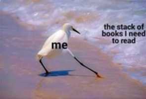 Free download stack of books meme free photo or picture to be edited with GIMP online image editor