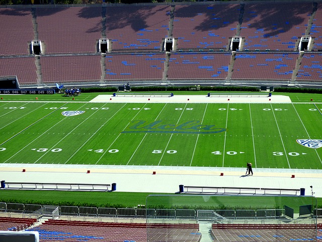 Free download stadium bleachers spectator turf free picture to be edited with GIMP free online image editor