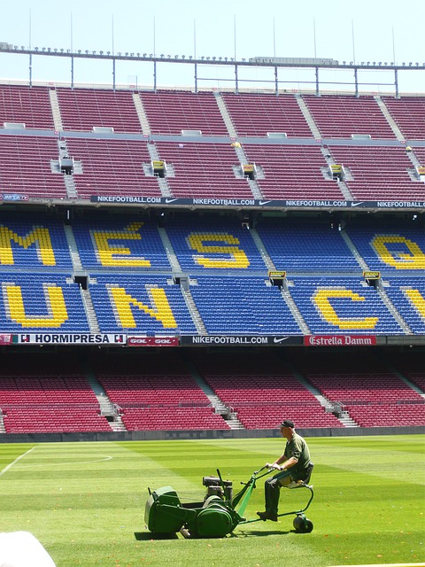 Free download stadium greenkeeper green free picture to be edited with GIMP free online image editor