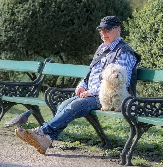 Free download staff man sitting bench dog pet free picture to be edited with GIMP free online image editor