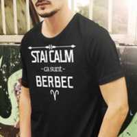 Free download stai-calm-ca-sunt-berbec-b_1297 free photo or picture to be edited with GIMP online image editor