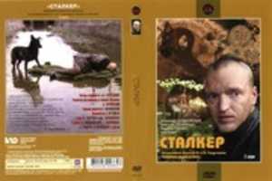 Free download Stalker ( Andrei Tarkovsky, 1979) Russian DVD Cover Art free photo or picture to be edited with GIMP online image editor