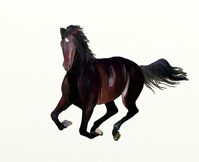 Free download Stallion Mane Horse -  free illustration to be edited with GIMP free online image editor