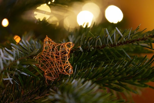 Laden Sie das kostenlose Bild „Stern-Weihnachtsbaum“ kostenlos herunter und bearbeiten Sie es mit dem kostenlosen Online-Bildeditor GIMP