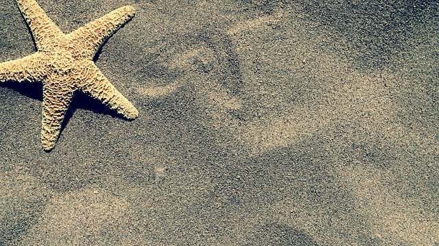 הורדה חינם של Starfish Sand Beach - תמונה או תמונה בחינם לעריכה עם עורך התמונות המקוון GIMP