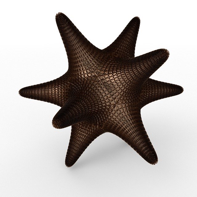 Free download Star Geometry Structure -  free illustration to be edited with GIMP free online image editor