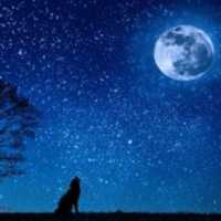 Free download Star Naming Service free photo or picture to be edited with GIMP online image editor