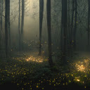 Stars fall in the night  screen for extension Chrome web store in OffiDocs Chromium