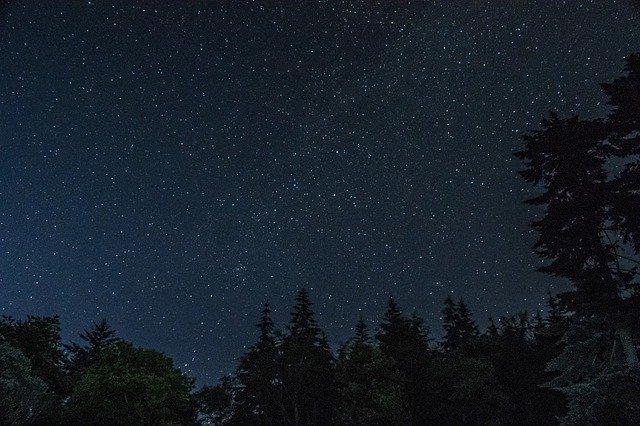 Bezpłatne pobieranie Stars Forest Night - bezpłatne zdjęcie lub obraz do edycji za pomocą internetowego edytora obrazów GIMP