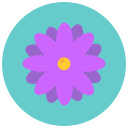 Star Wars: The Last Jedi HD  screen for extension Chrome web store in OffiDocs Chromium